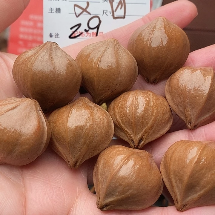 手串/手链橄榄核三*金