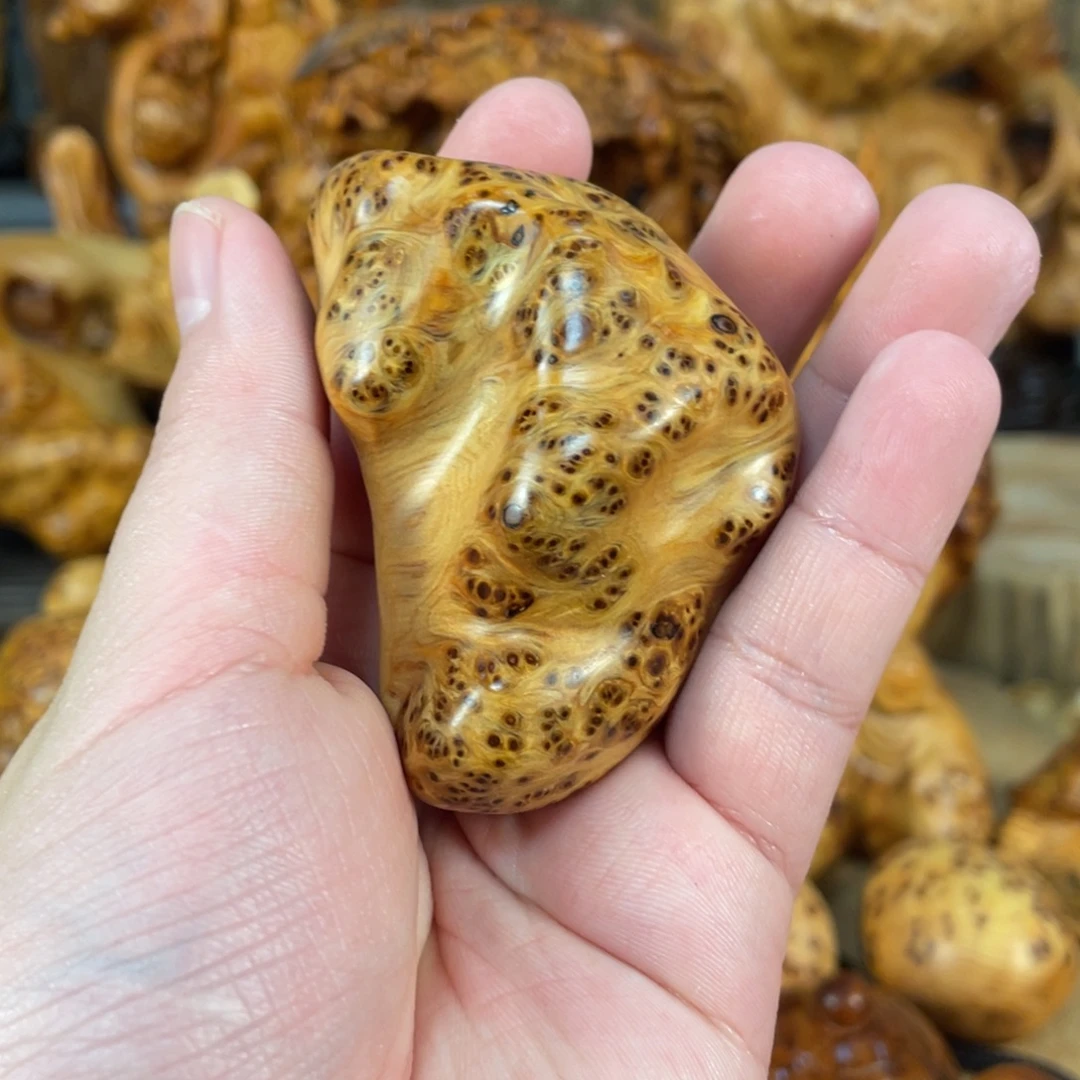 柏木（崖柏）太行崖柏