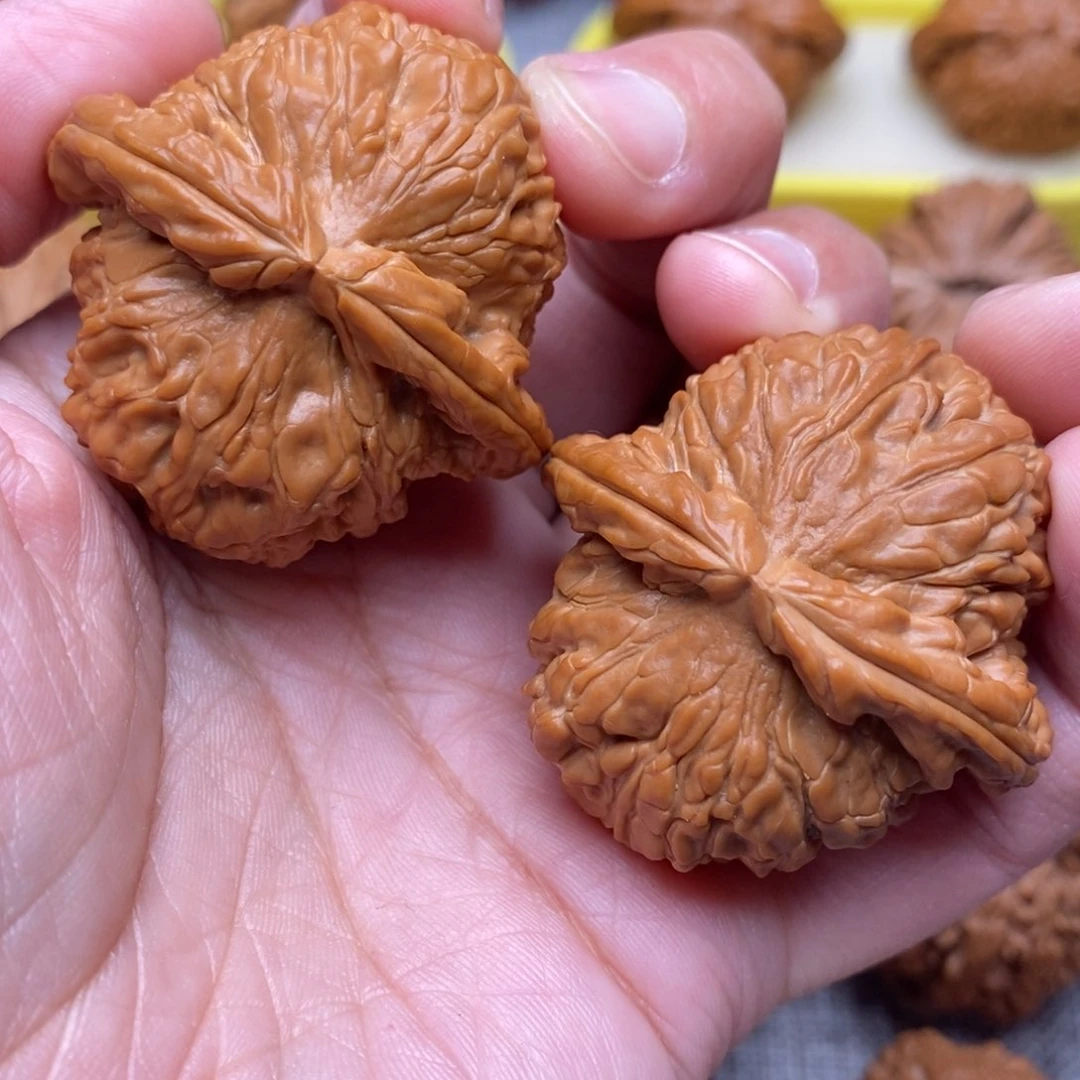 文玩核桃把件全品毕业绝配白狮子42尺