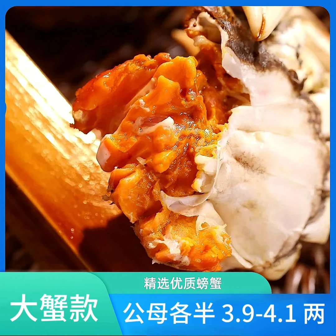 【活蟹】河蟹 公母蟹各半3.9-4.1两 拍8送2 净重1900g 顺丰冷链包邮