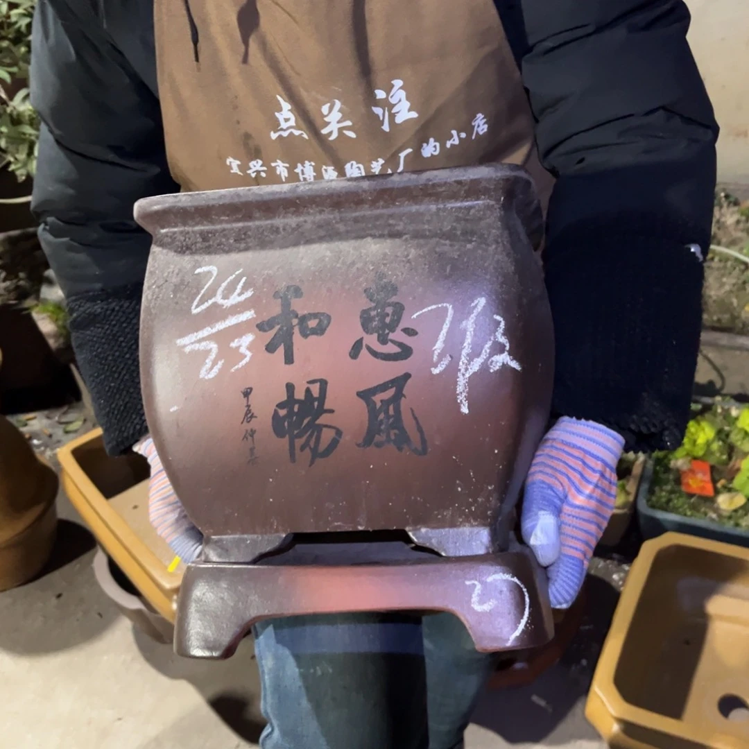 紫砂花盆盆景艺术。