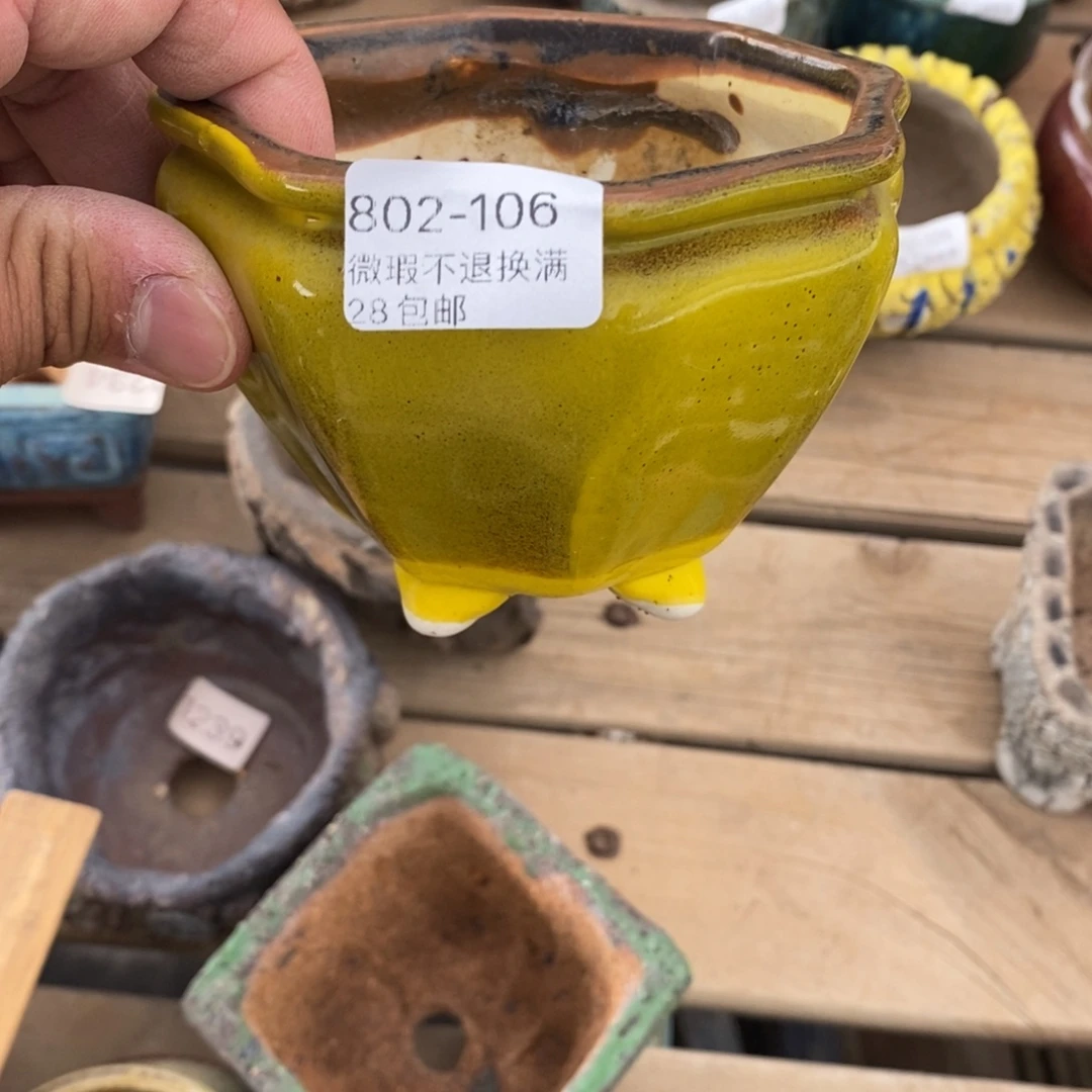 106号花盆内9高8花盆