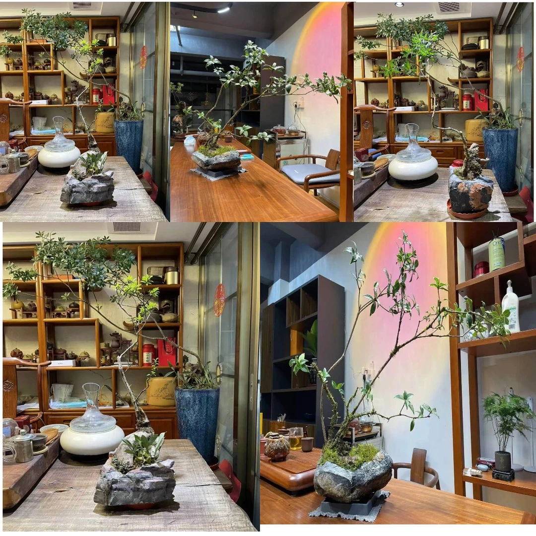 原生态家居庭院石器石盆