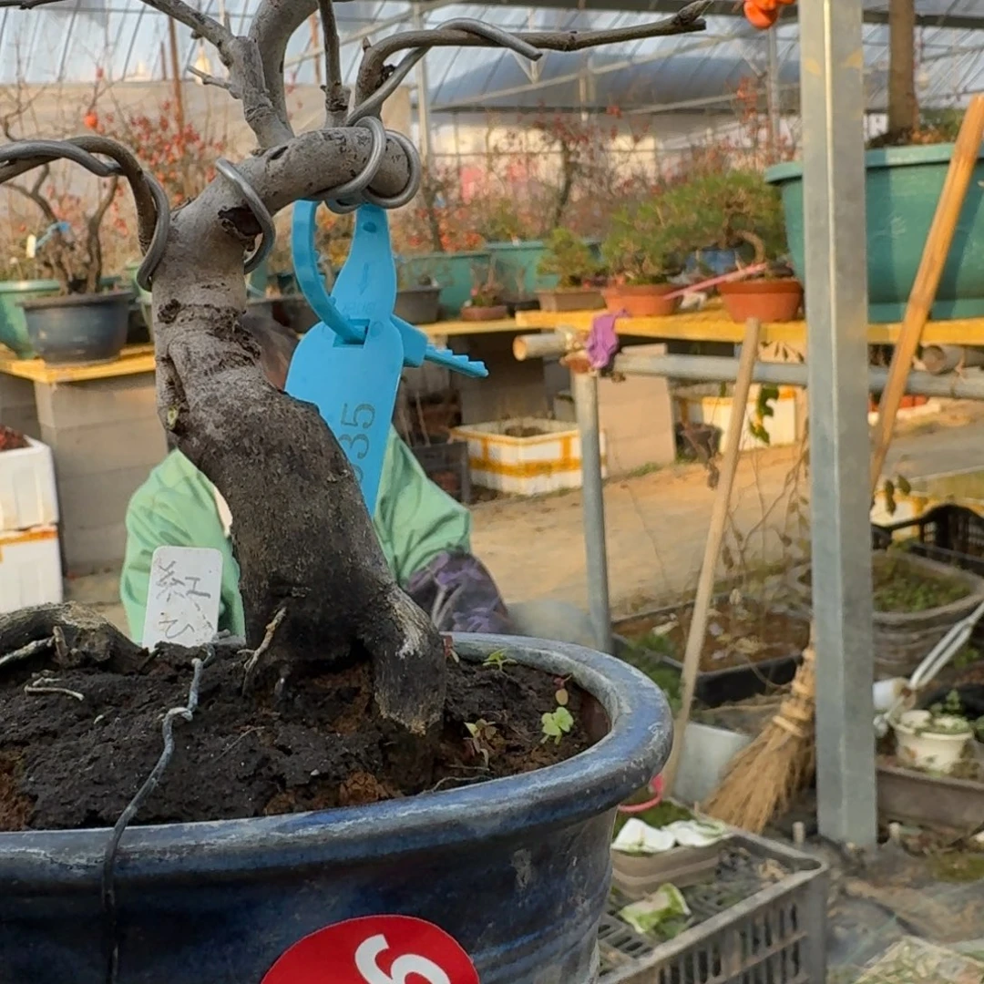 挡***i无花朵960顺丰到付不包邮