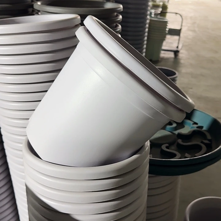 微瑕5#淡紫色6个无托