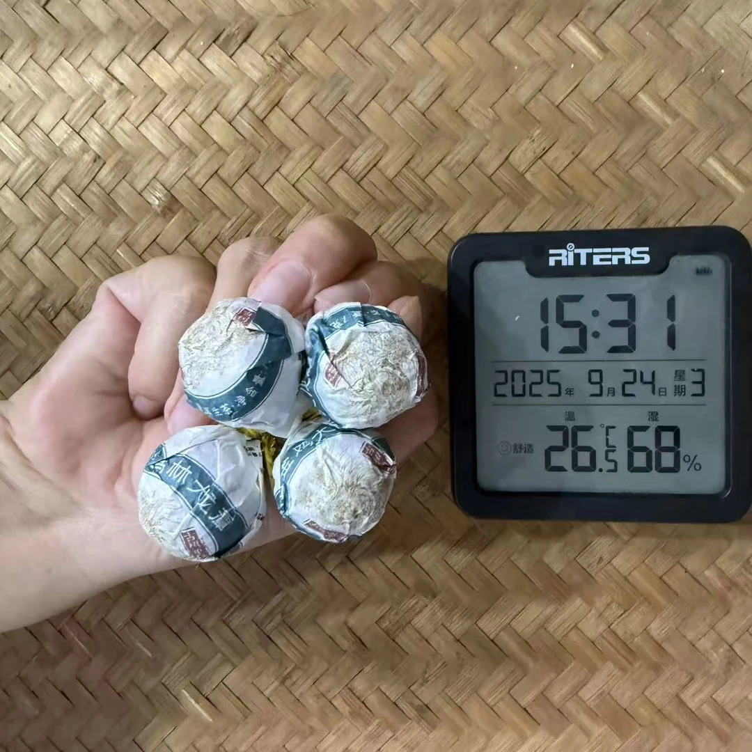 22年无量山金鸡林大龙潭金鸡独立古树普洱生茶龙珠Y138号9月24日