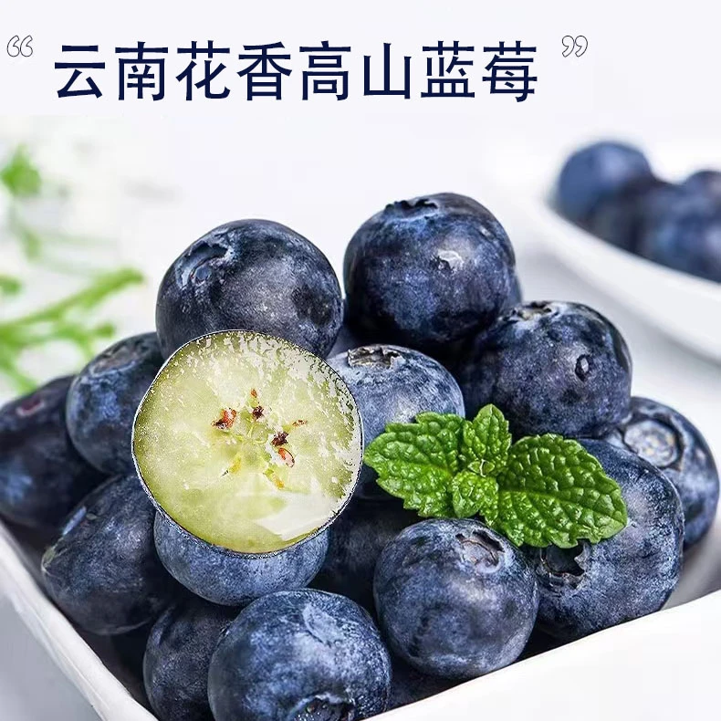 云南蓝莓抚仙湖花香蓝莓新鲜水果当季鲜果现摘高山怡颗大果整箱