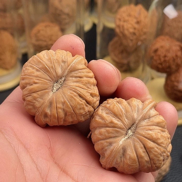 39.5全品南瓜核桃核桃
