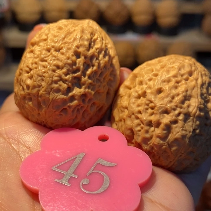 26号链接龙鳞铁狮子41尺寸