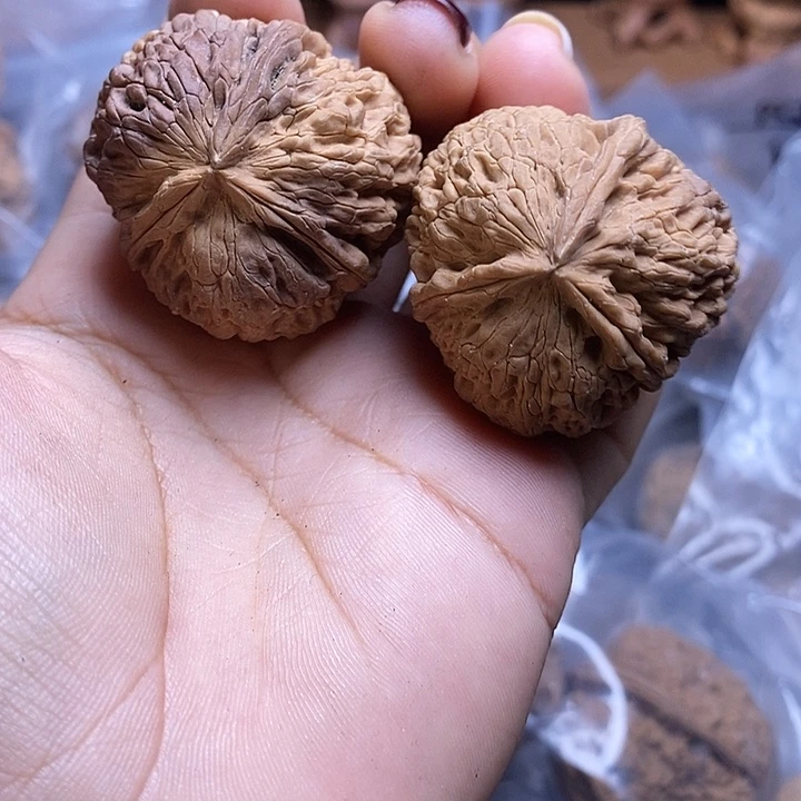 文玩核桃把件云南文玩核桃22号37m