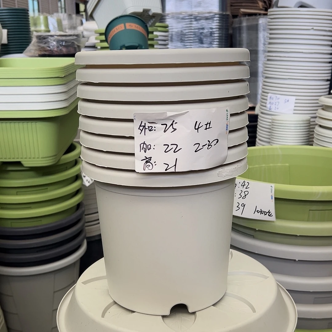 四季盆4#白色8个无托