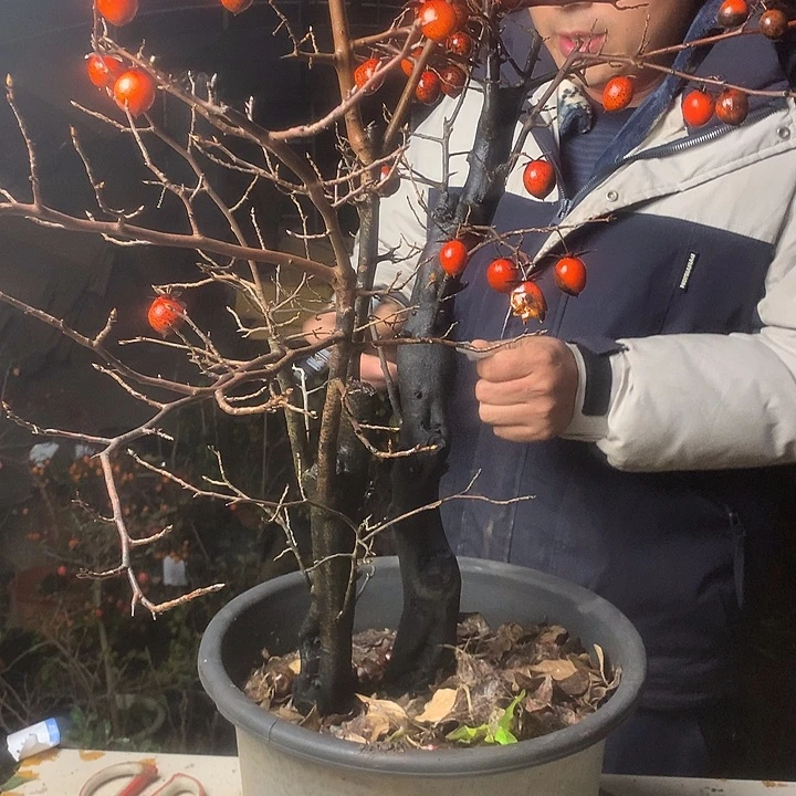 认***道无花朵我们的目标