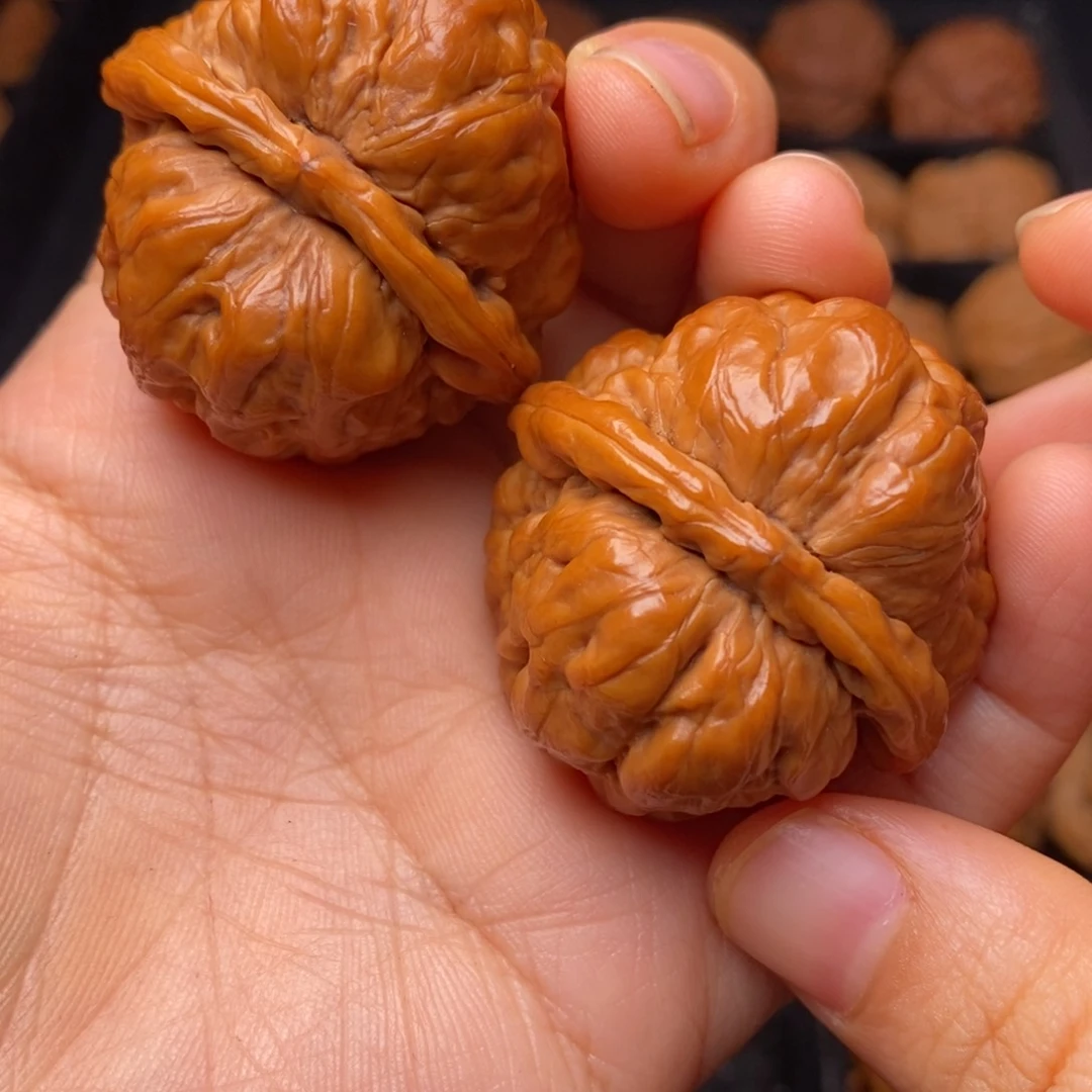 秦岭野生文玩核桃