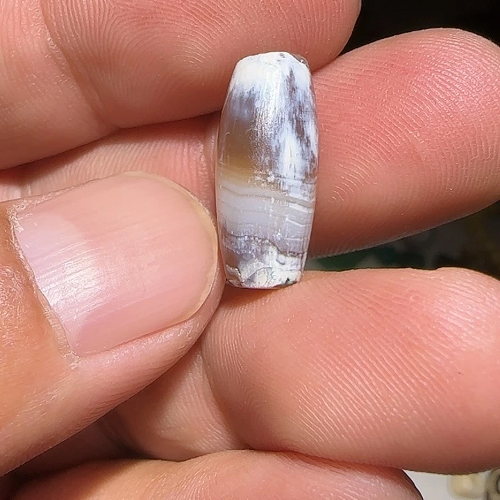 藏区老唐球保老漂亮