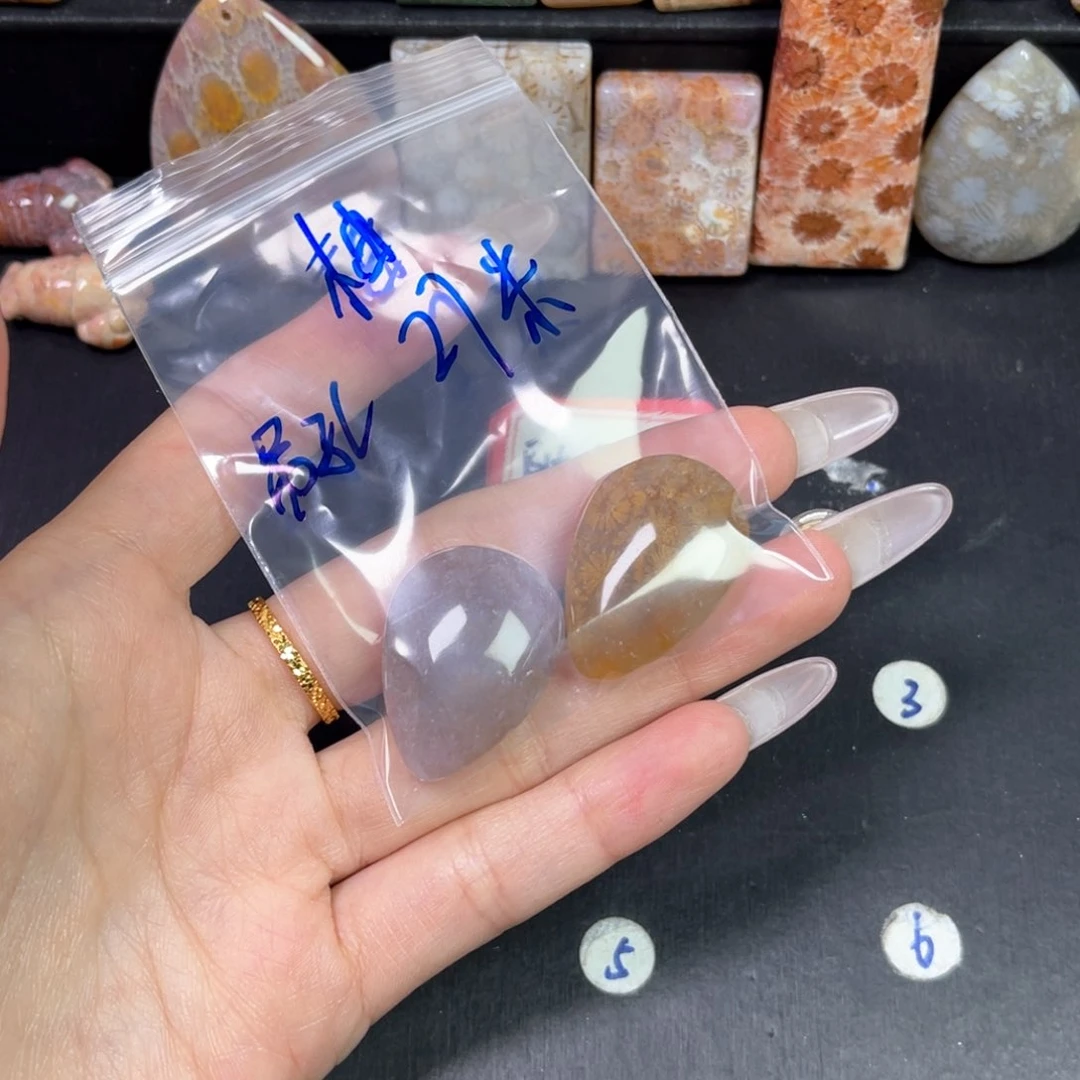 硅化珊瑚（珊瑚玉）吊坠未镶嵌