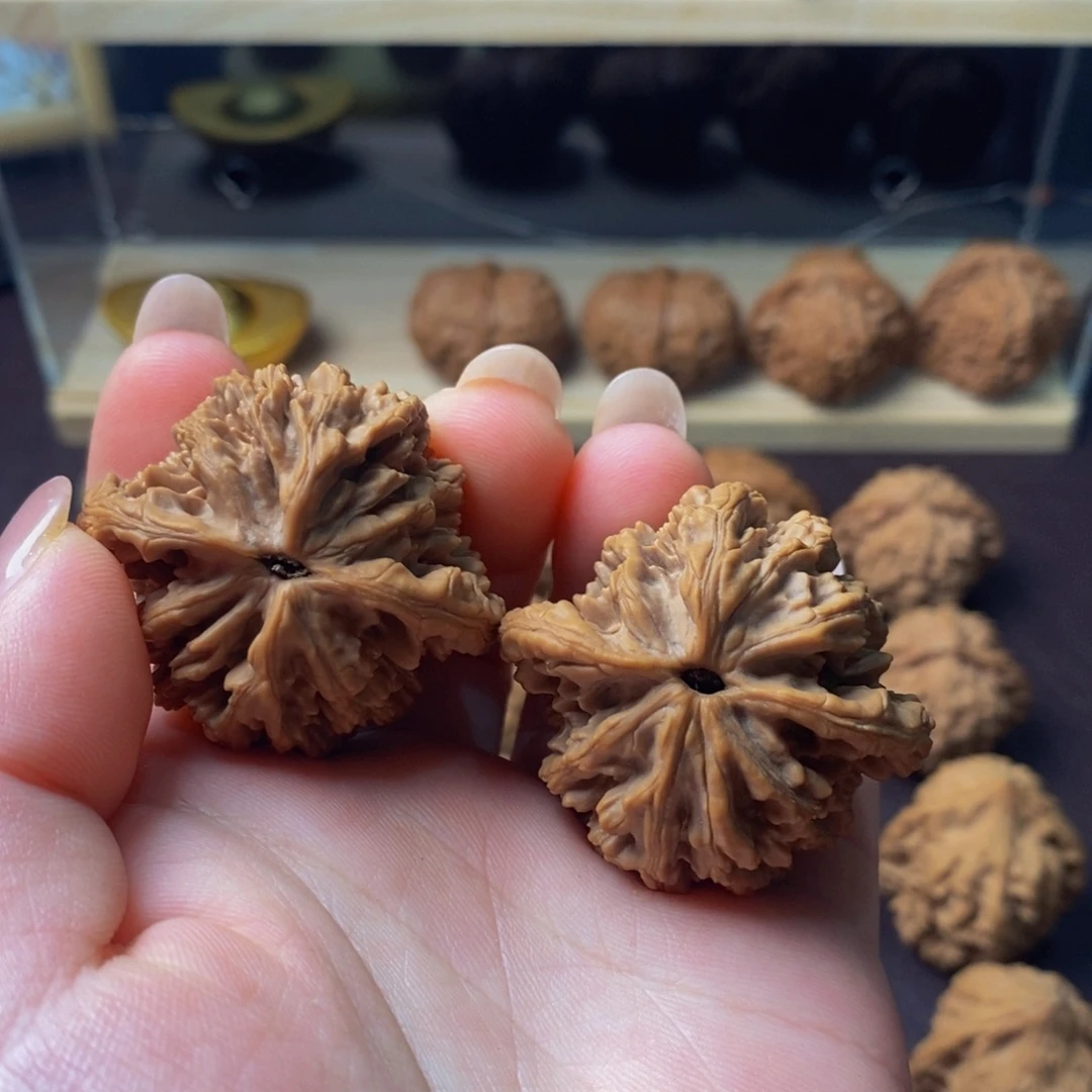 大叶紫檀（黑酸枝木类）