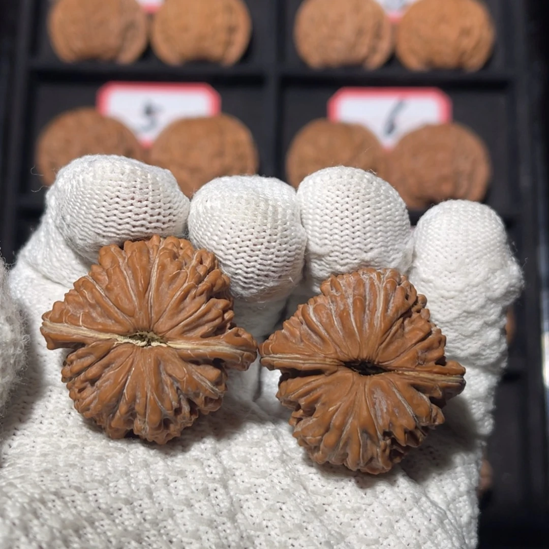 吊坠文玩核桃01秦皇岛山地果全品一代楼