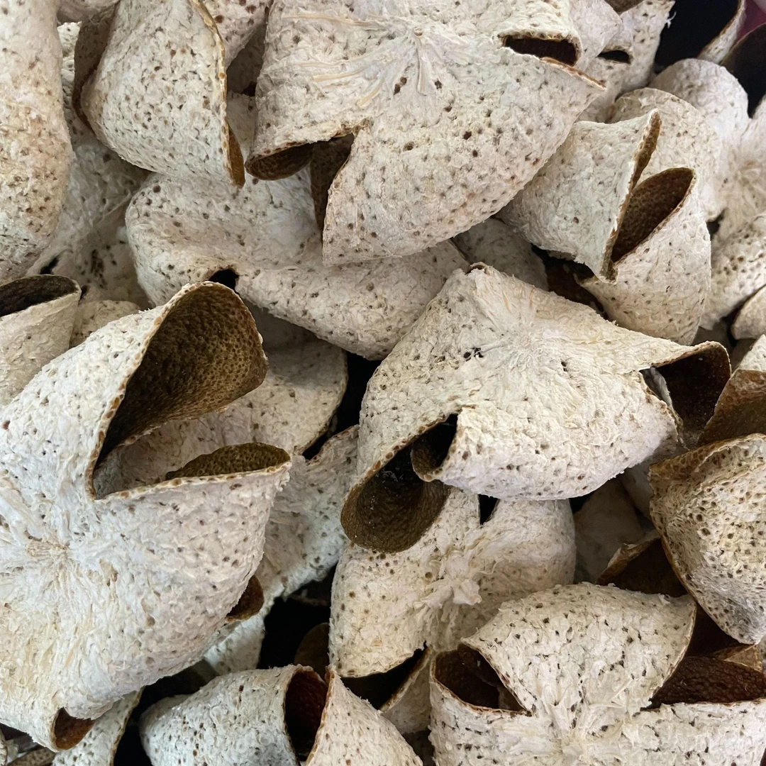 2024年天马原枝（正宗新会陈皮）