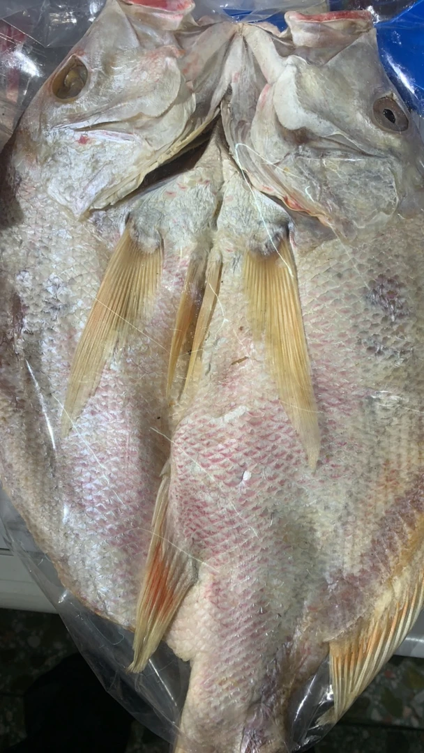 湛江特长红鱼干淡晒