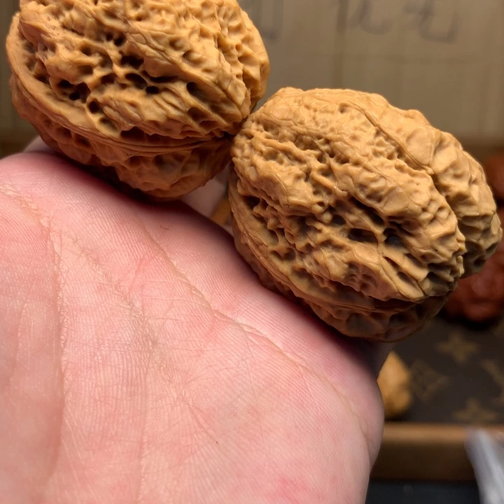 文玩核桃把件44龙脊王