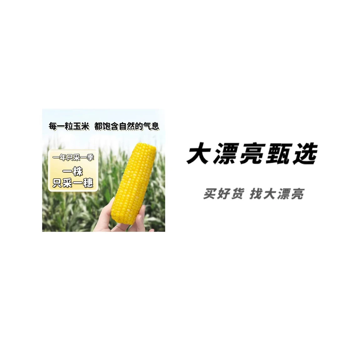 （北）香甜可口糯玉米
