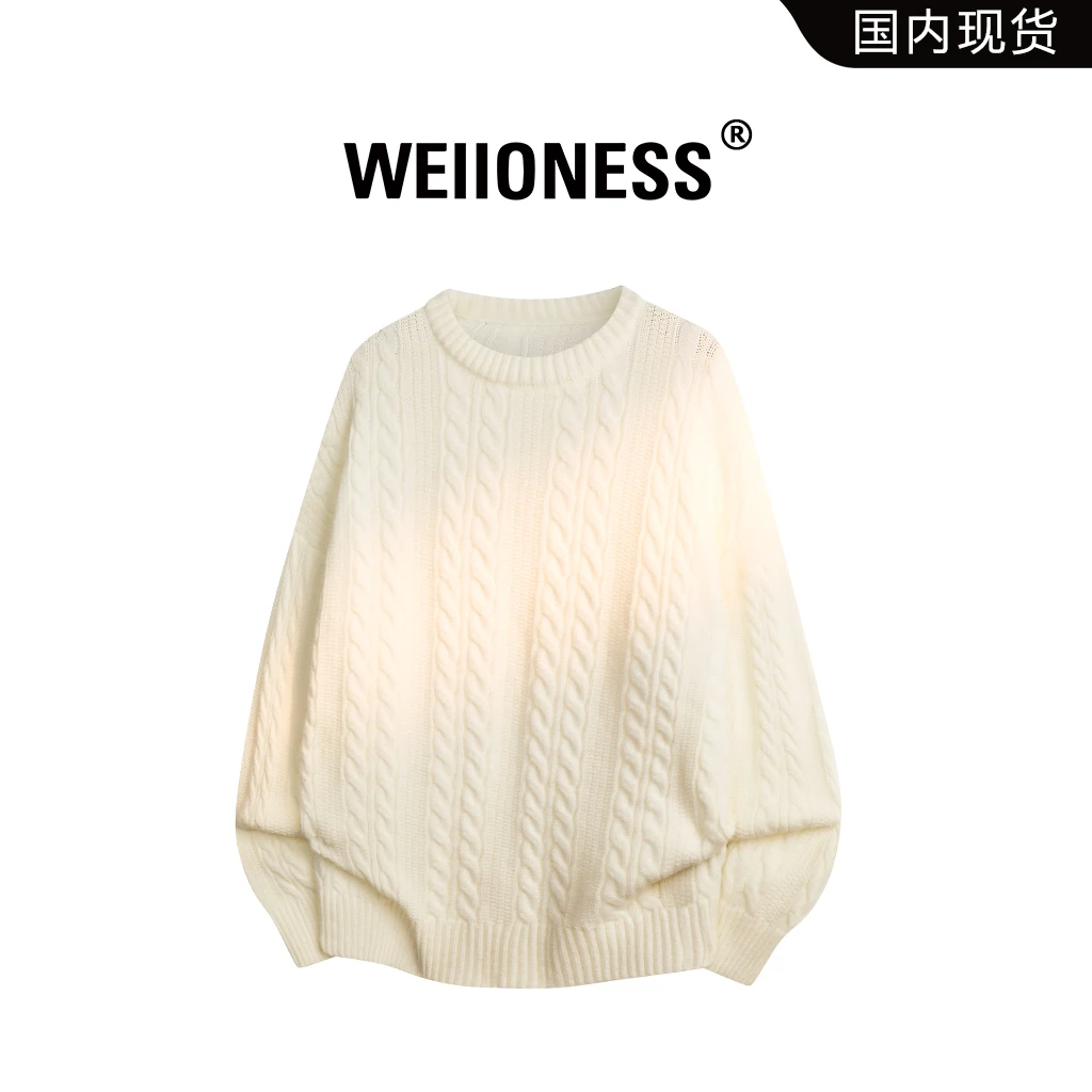 WEIIONESS圆领毛衣男款2025秋季麻花肌理感针织衫男生高级感衣服