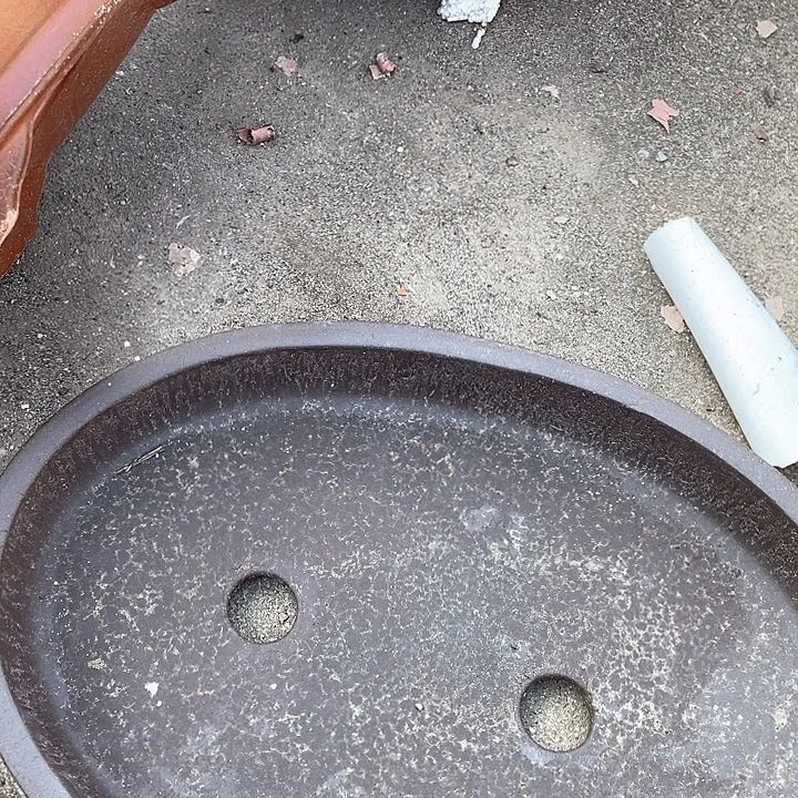 紫砂宜兴紫砂有孔椭圆