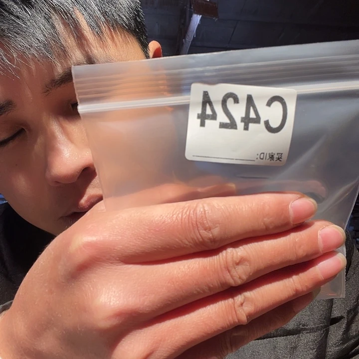 大果紫檀（缅甸花梨）424
