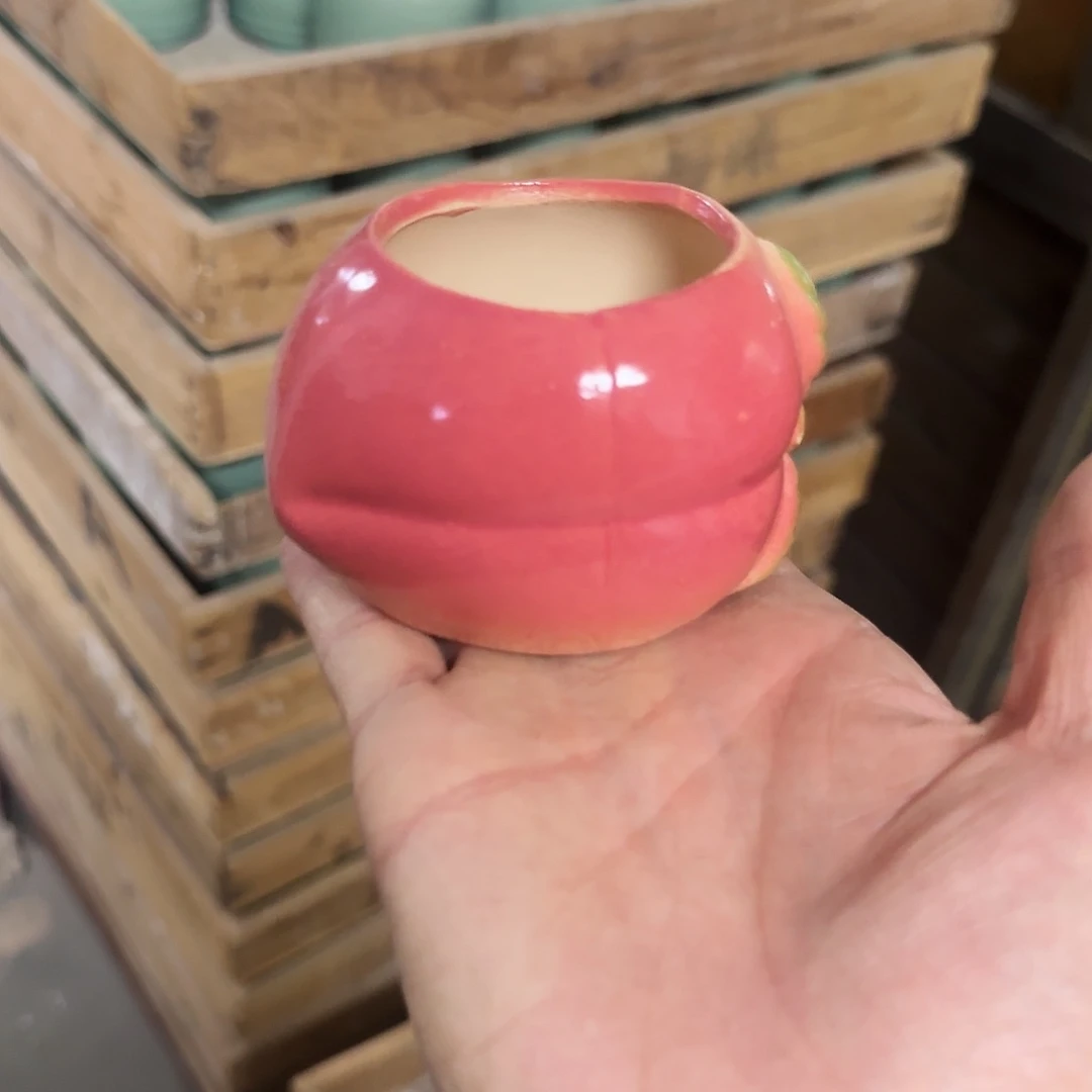 福利局绿植多肉盆［凑9元包邮24小时发］