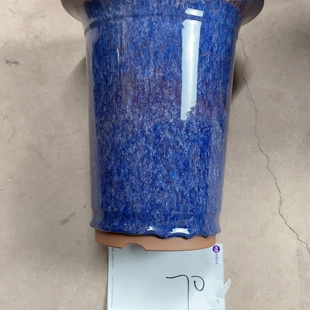 【闪购商品】紫砂花盆兰花526855887566855554