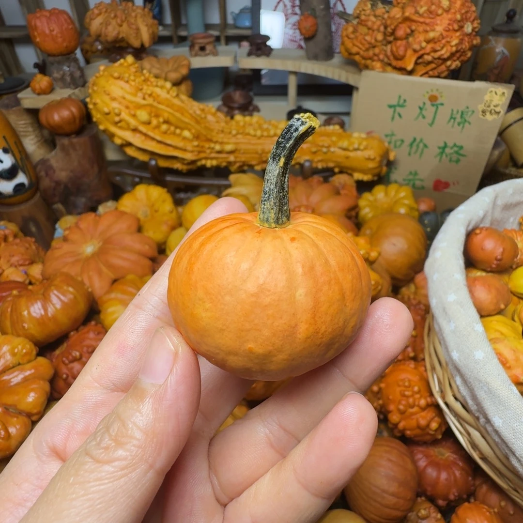 o***u特价葫芦不退不换