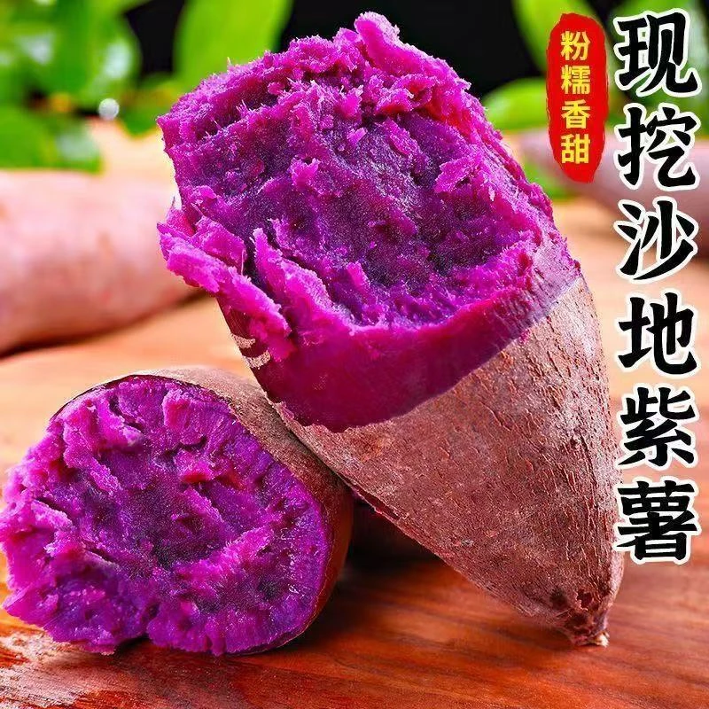 【现挖紫薯】正宗沙地现挖紫罗兰紫薯软糯香甜产地直发