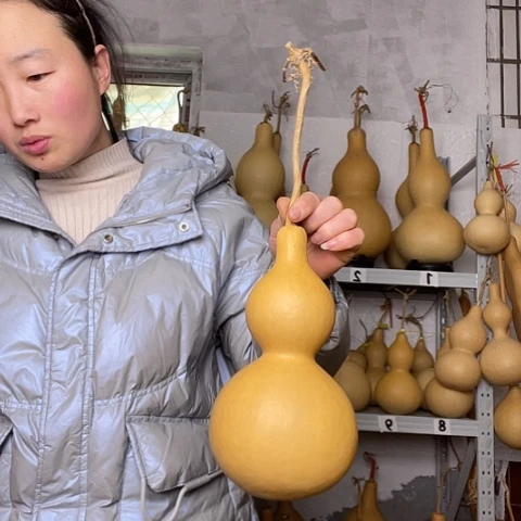 顺*.天然植物葫芦文玩