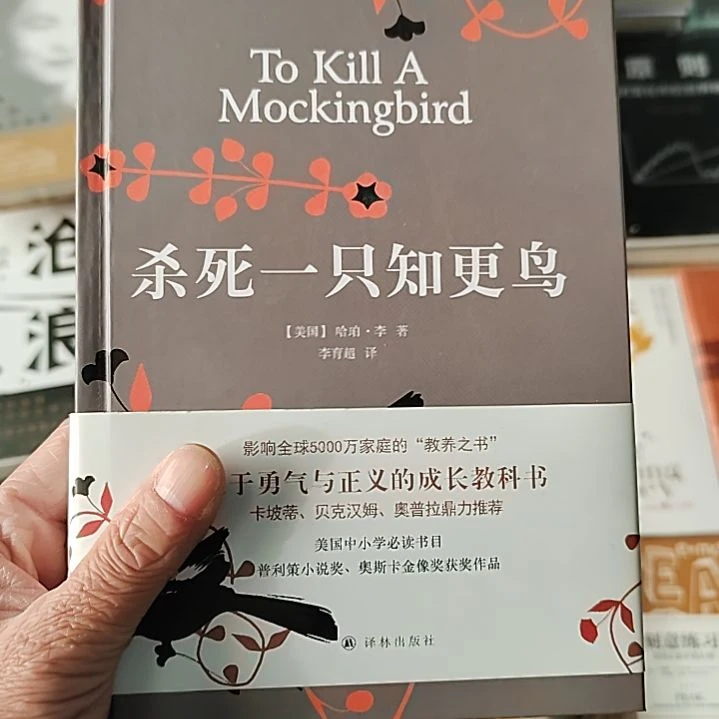 杀死一只知更鸟精装