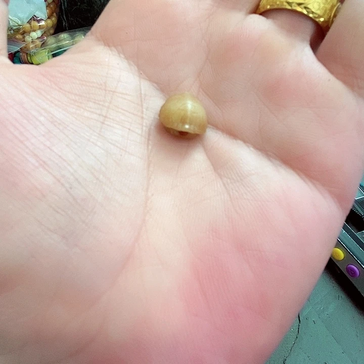 大果紫檀（缅甸花梨）140