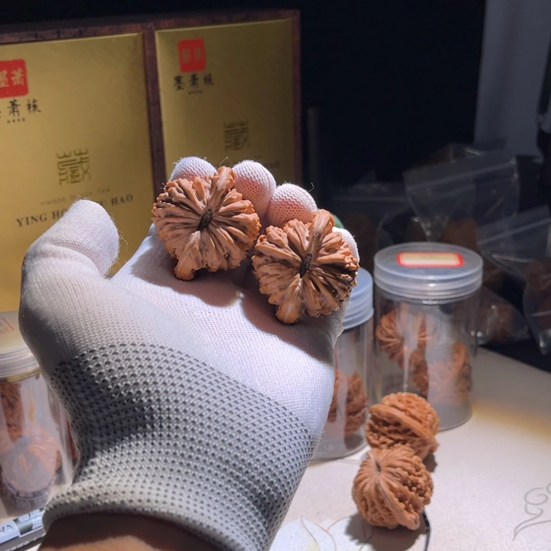 D***y全品 楼子。全品。