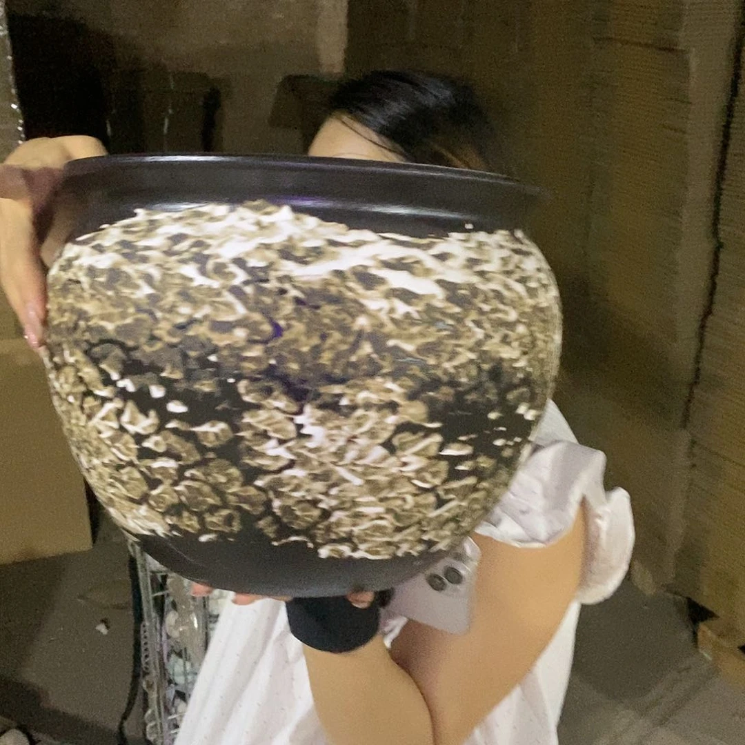 正品30/25（hfgghhb