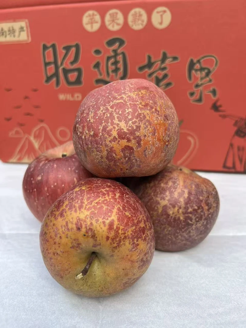 云南昭通糖心丑苹果新鲜现摘现发，脆甜汁多