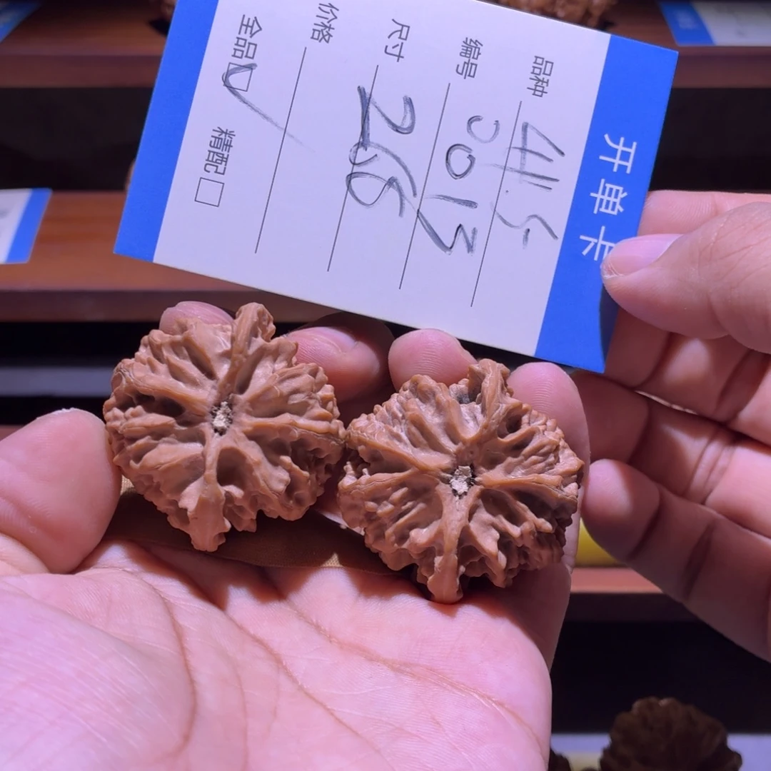 全品无修41.5尺十一底苹果园
