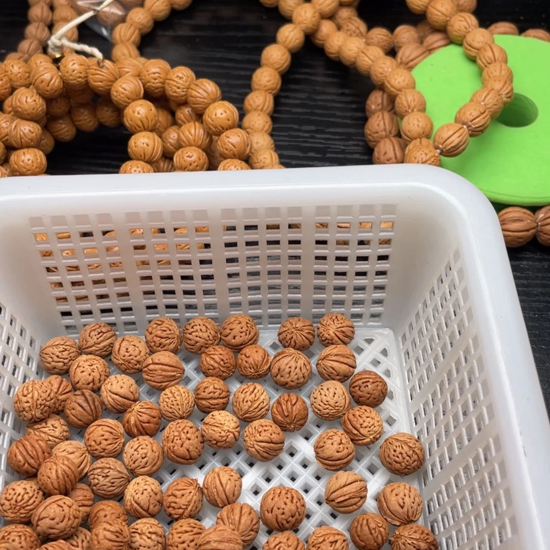 【闪购商品】海**号散子批发50米