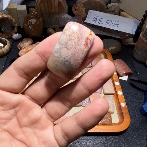 【闪购商品】硅化玉颈饰未镶嵌