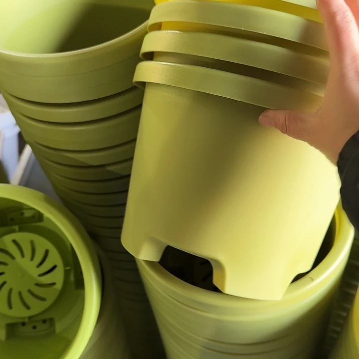 球根26口径10个无托果绿微瑕