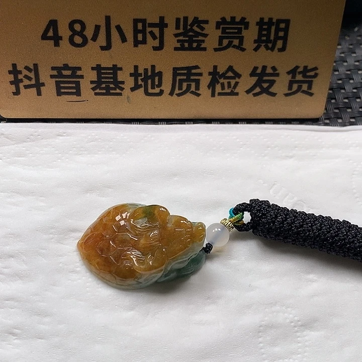 颈饰未镶嵌翡翠龙龟