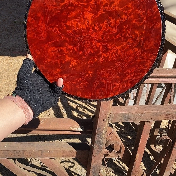 红金樟特价不退换29