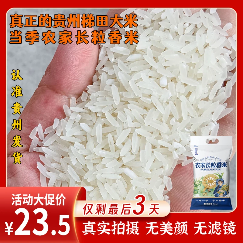【贵州梯田长粒香米10斤】农家大米长粒香新米炒饭大米当季稻香大米