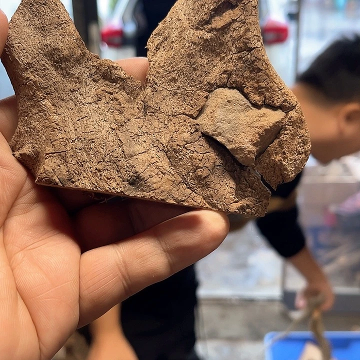 添***店柏木（崖柏）料55555556
