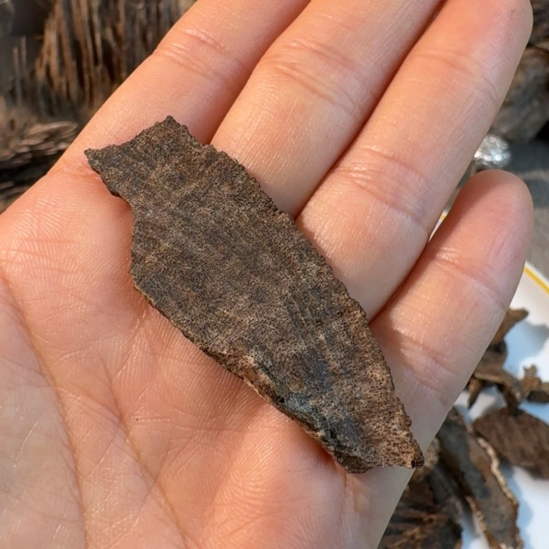 沉香碎屑沉香香港灌油铁顶一块1.6