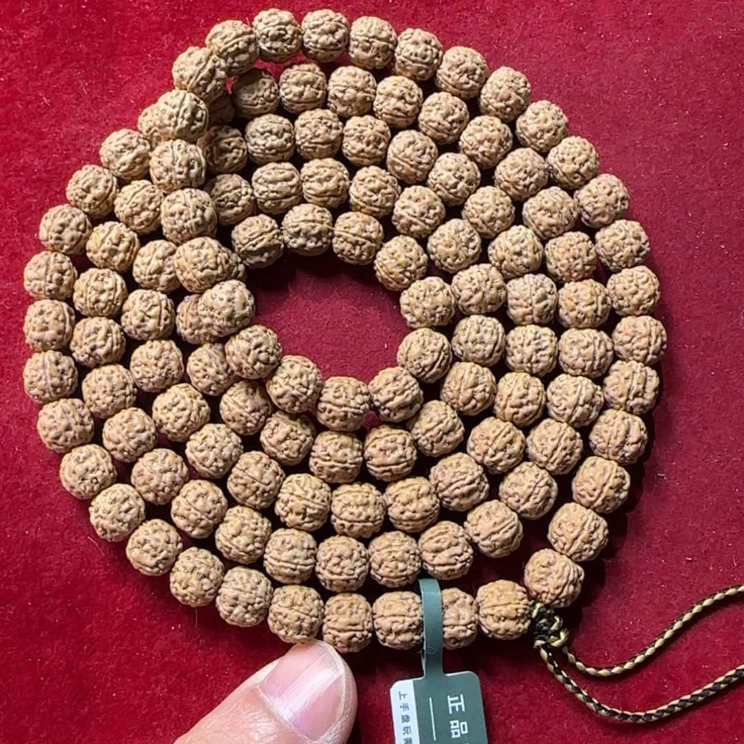 金刚菩提吊坠原籽一代龙一等++