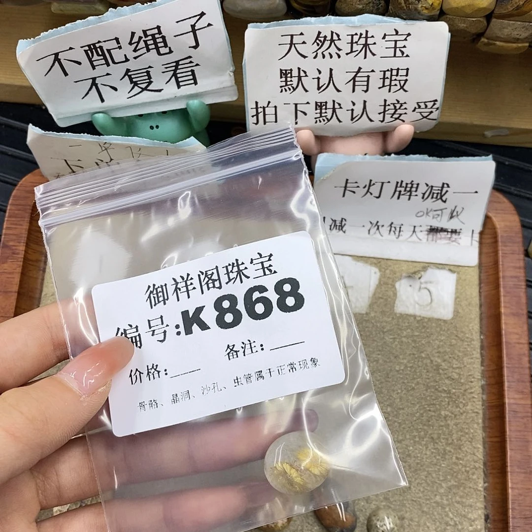 硅化珊瑚（珊瑚玉）未镶嵌颈饰清*