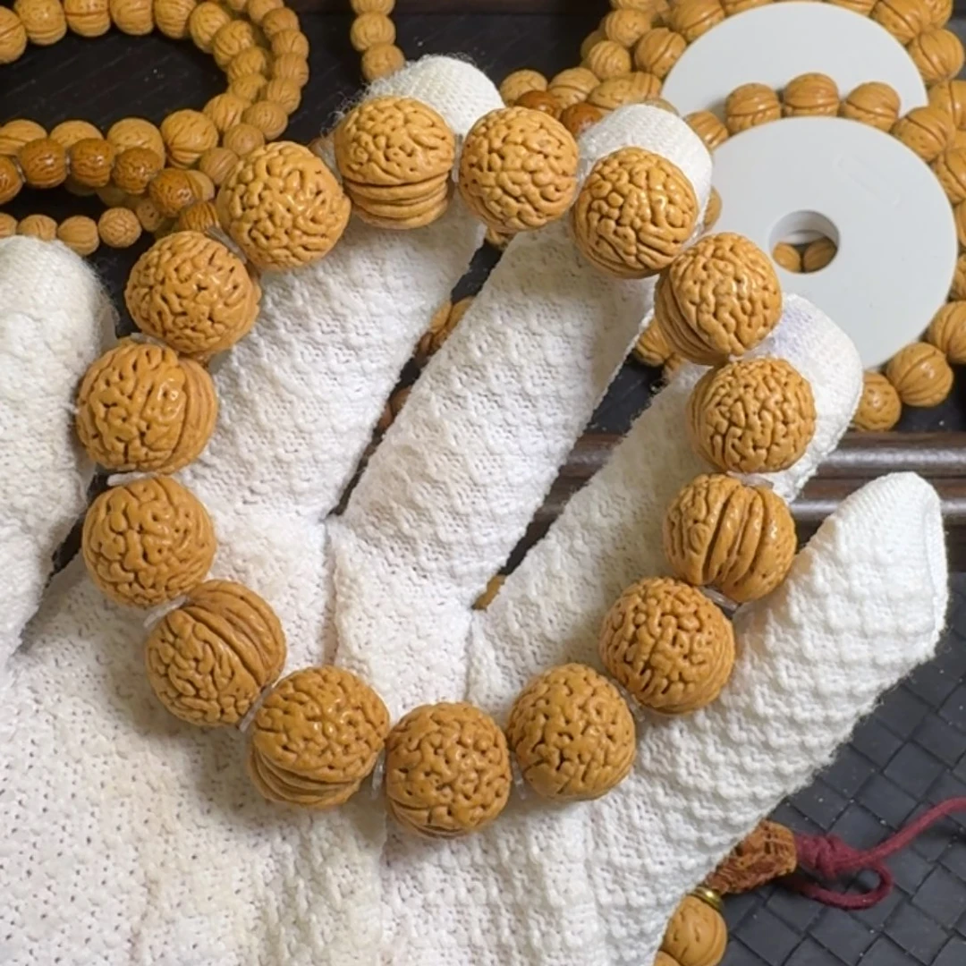 1号16尺寸野生龙鳞